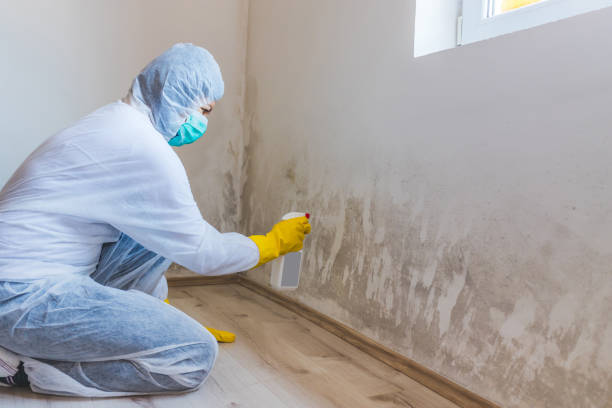 Mold Remediation specialist working in Bealeton
